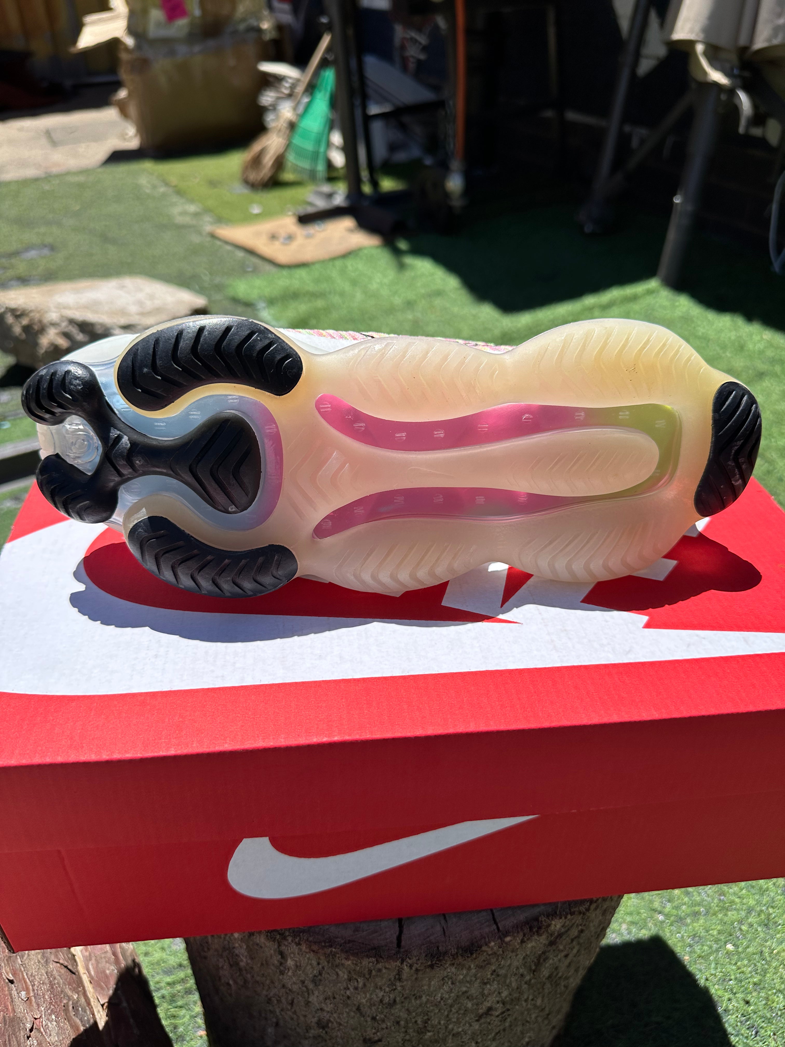 Nike Air Max Scorpion